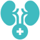 Nephrology Icon